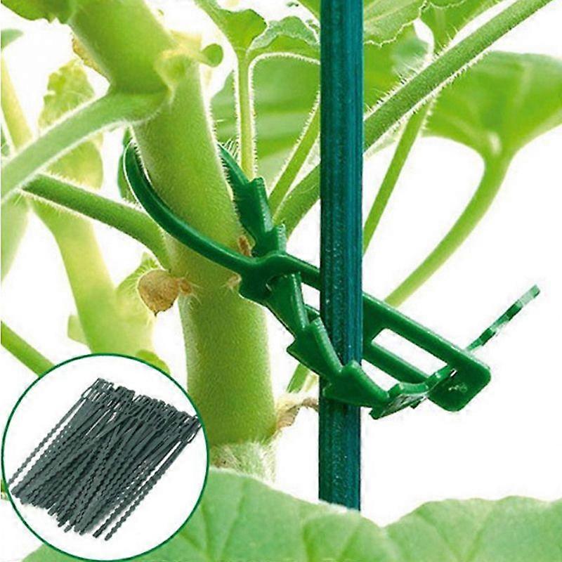 50Pcs Adjustable Plastic Plant Cable Ties Reusable Cable Ties For Tree Climbing