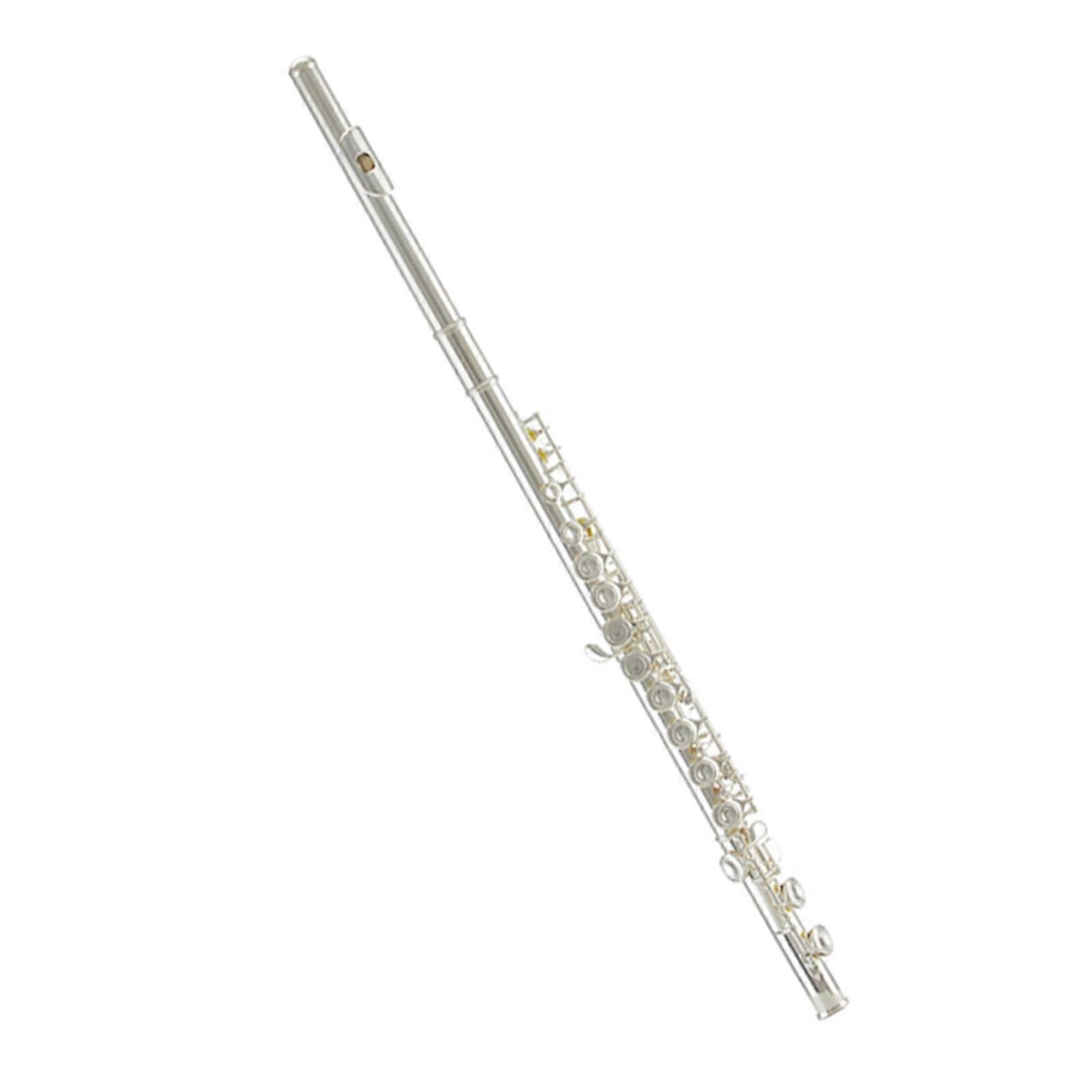 Professional Flute for Beginners with Durable Construction and Bright Clear Tone