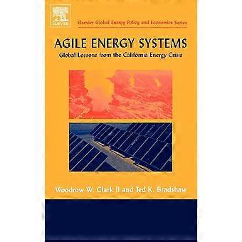 Agile energy systems global lessons from the california energy crisis elsevier global energy policy and economics series