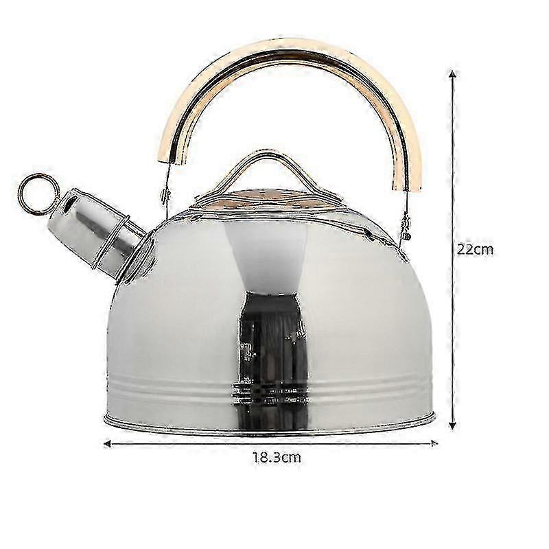 Stainless Steel Kettle compatible with Heating Use