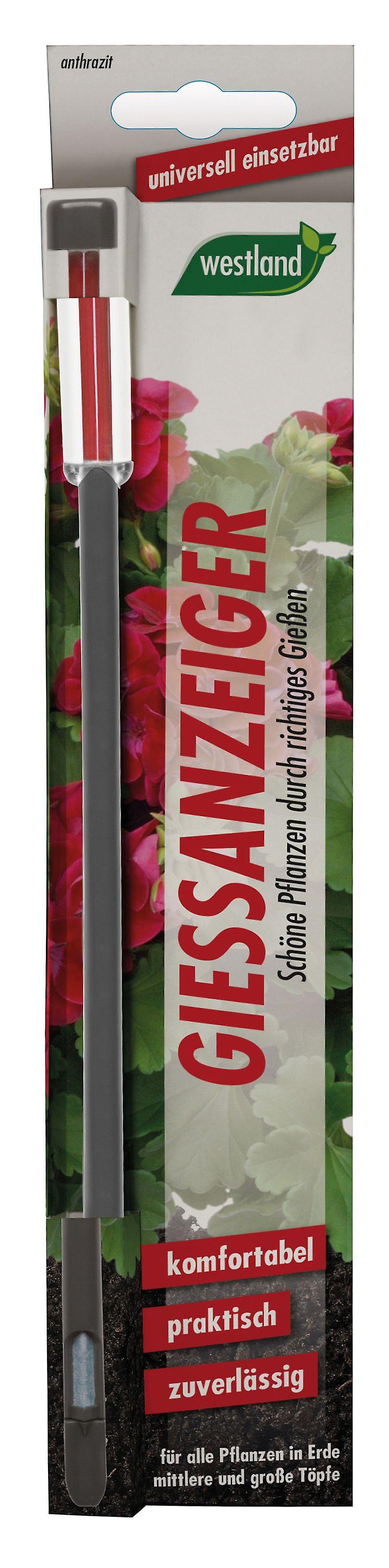 WESTLAND® Watering indicator for potting soil, 26 cm anthracite