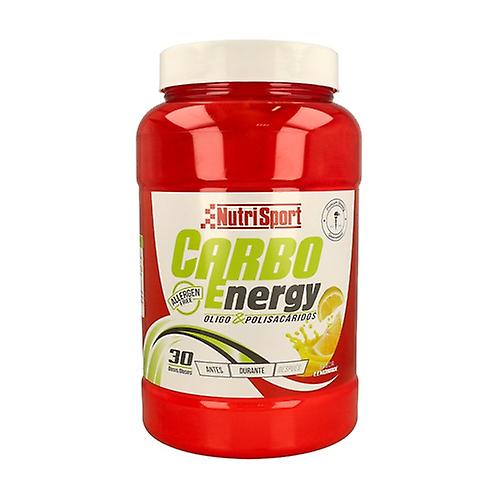 Carbo Energy Lemon 1650 g of powder