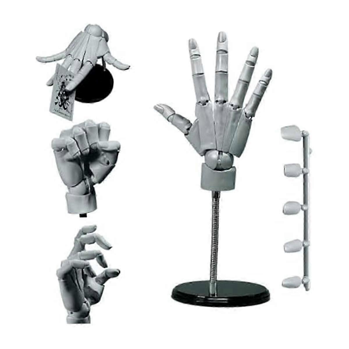 Hand Model 1:1 Articulated Mannequin Hand Moveable Joint+Base DIY PVC ABS Hand Model compatible with Drawing,Painting,Sketching A