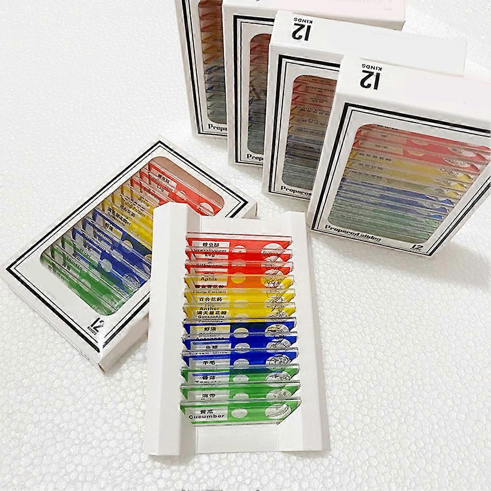 12pcs Microscope Slides with Specimens for Kids Plastic Prepared Slides for Microscope of Plants Flowers Sample New