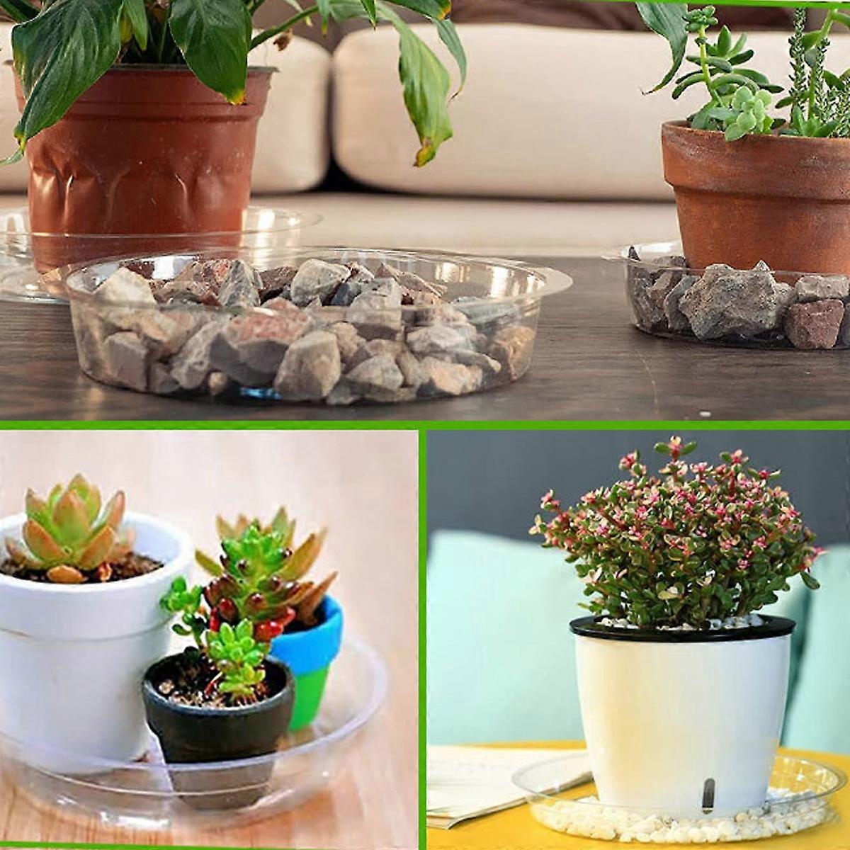 Metall klätterväxt rack, växt stativ