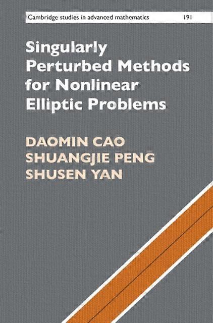 Singularly Perturbed Methods For Nonlinear Elliptic Problems by Shusen Yan Paperback Book