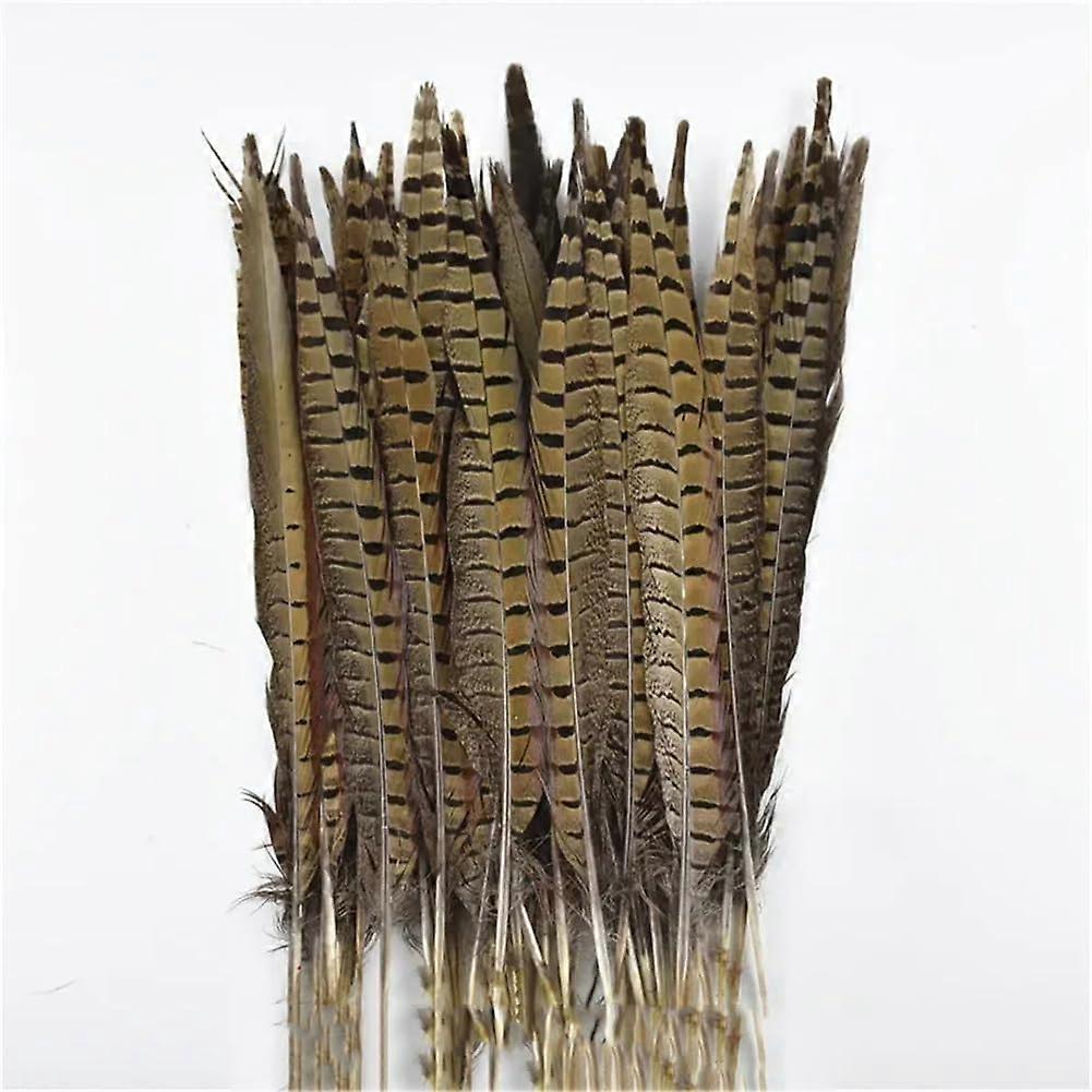 Natural Ringneck Pheasant Feathers for Crafts Extensions 1075Cm Long Large Decorative Feather Tail 3035cm 1214inch 10 Pcs