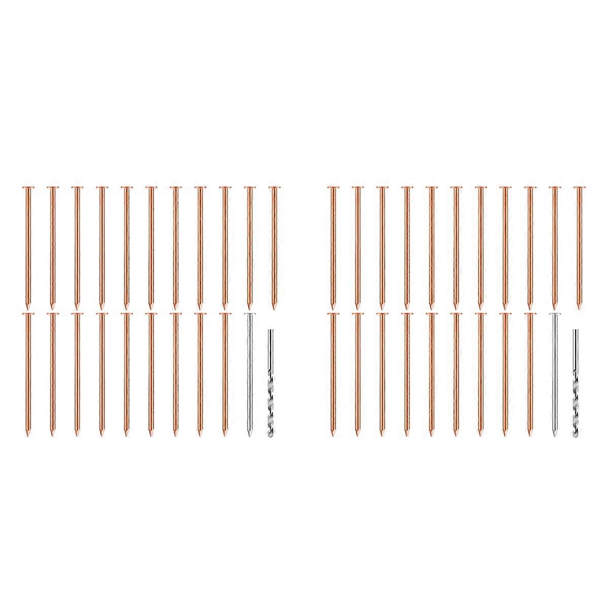 20 Pcs Copper Nails for Killing Trees, Stumps & - 3.5 Inch Long