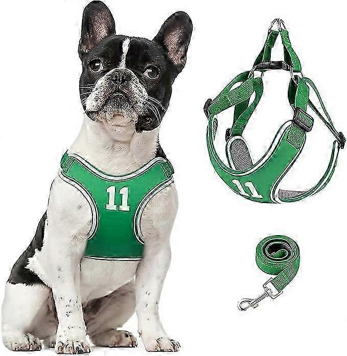Dog Harness and Leash Set, Adjustable Step in Pet Vest Harness Soft Easy Walk, No Chock Puppy Harness for Small Medium Dogs