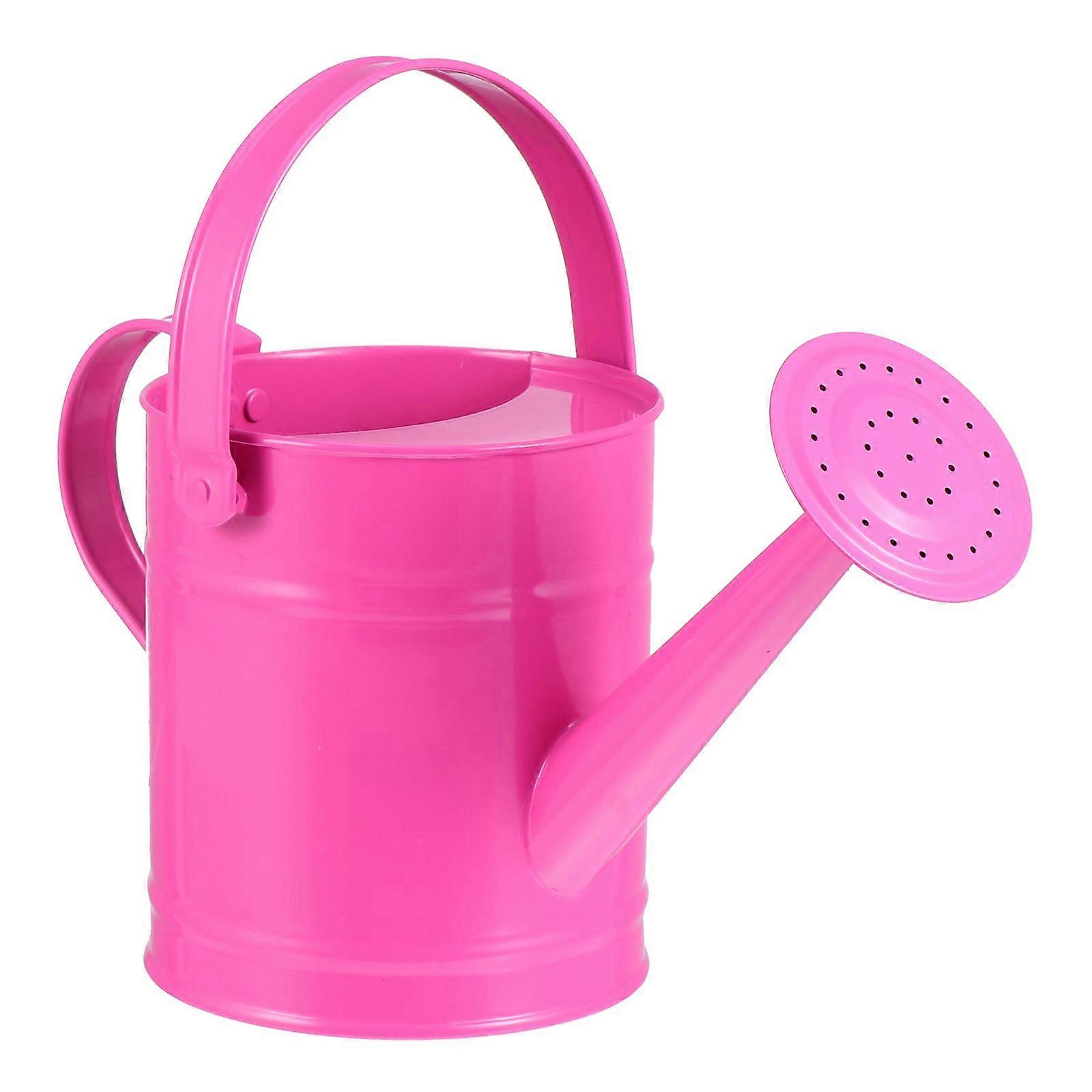 Durable Iron Watering Can with Large Capacity for Gardening and Storage Green Color