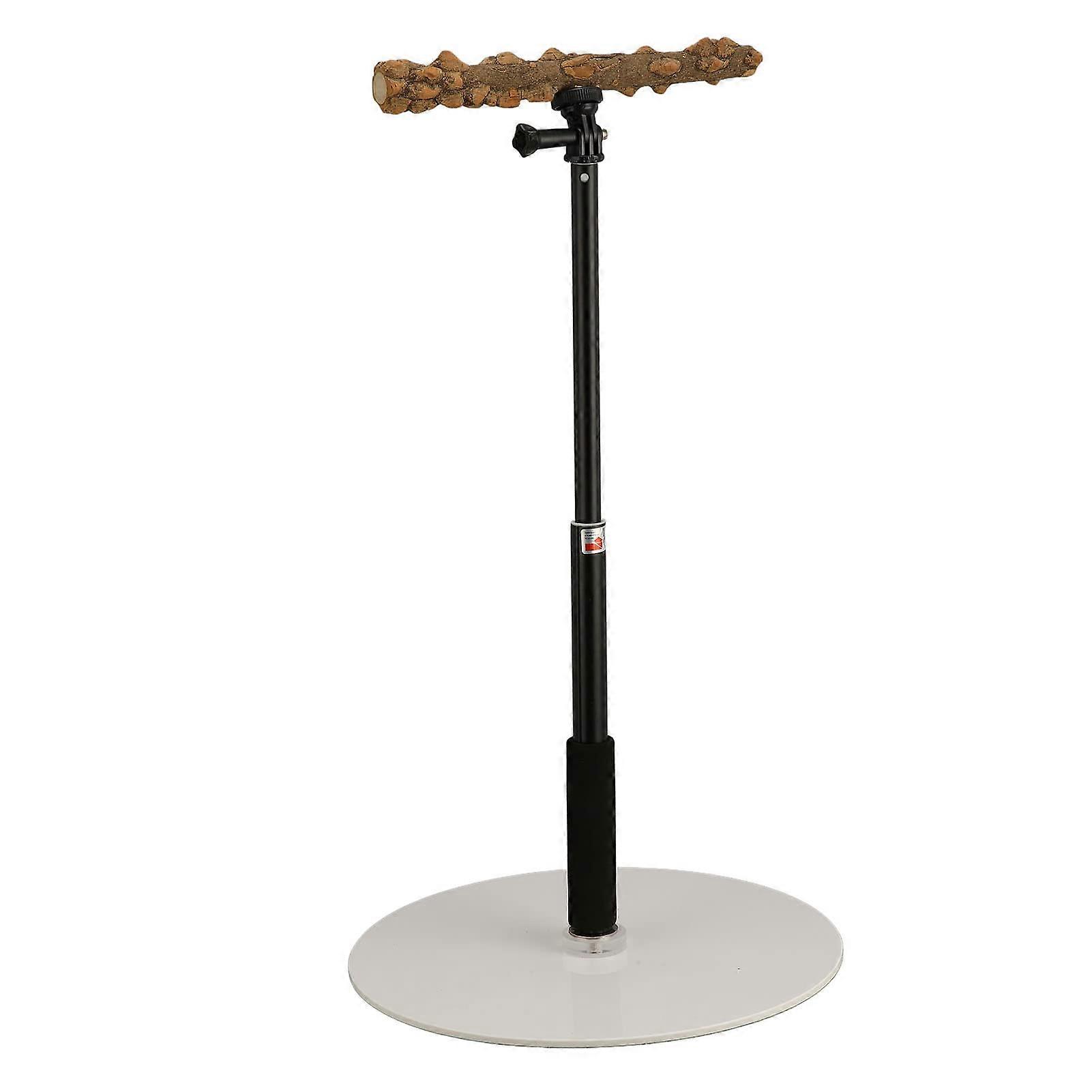 Portable Parrot Perch Stand, Adjustable for Indoor and Outdoor Use