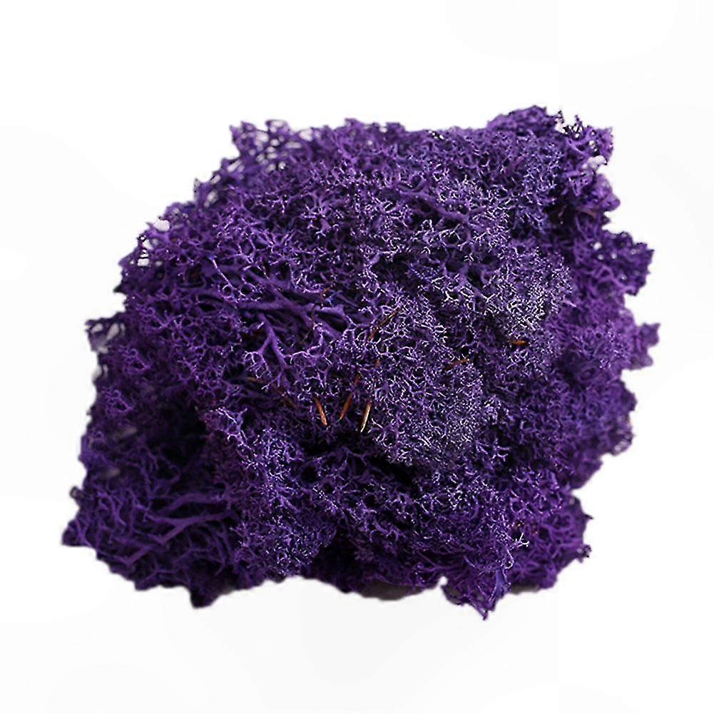 Artificial Plant Decor with Preserved Moss for DIY Garden and Home Crafting Projects