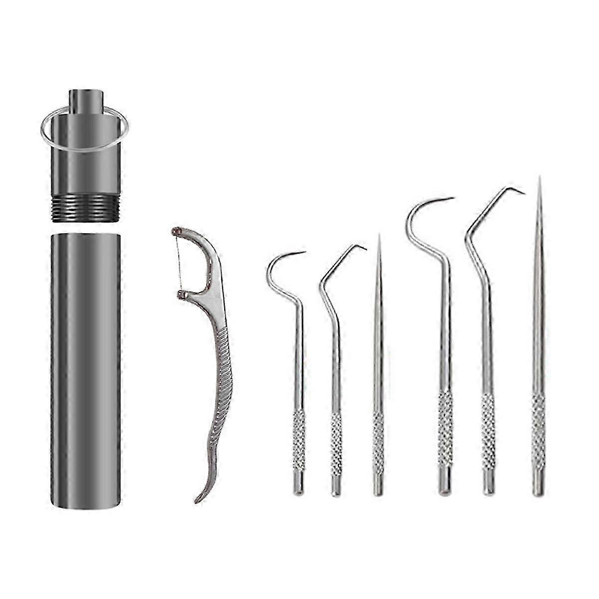 Reusable metal toothpicks set teeth cleaner with floss
