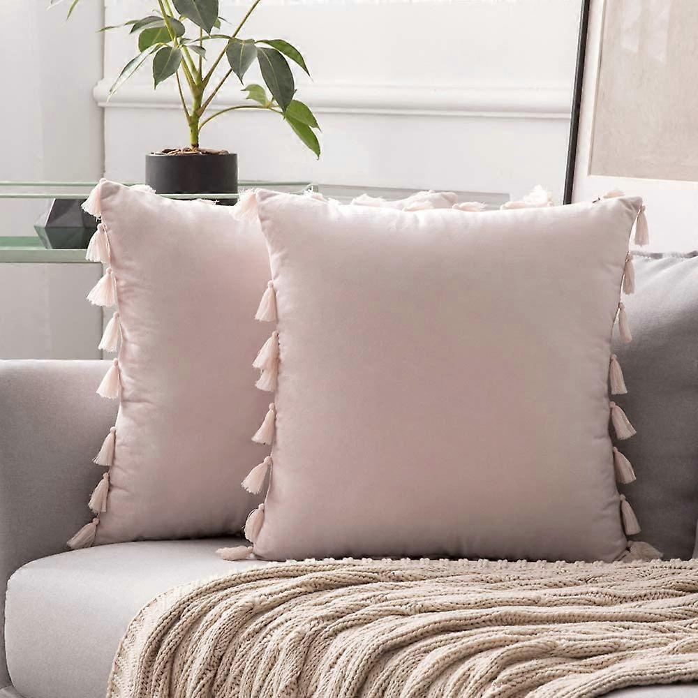 Pack Of 2 Velvet Soft Solid Decorative Throw Pillows With Tassels Fringe Boho Accent Cushion For Couch Sofa Bed, Pink