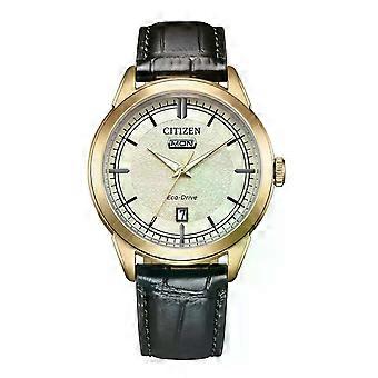 Citizen Eco-Drive Day Date Gold (AW0153-04AC)