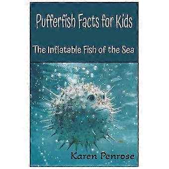 Pufferfish facts for kids the inflatable fish of the sea amazing ocean animals facts coral reefs marine life ecosystems conservation science hands-on 