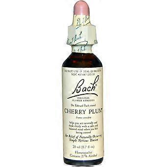 Bach Original Blomst Rettsmidler Kirsebær plomme, 20ml
