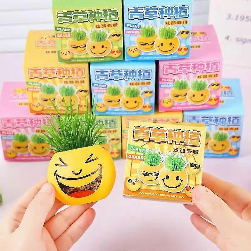 11 Pcs Smiley Grass Head Planter Set