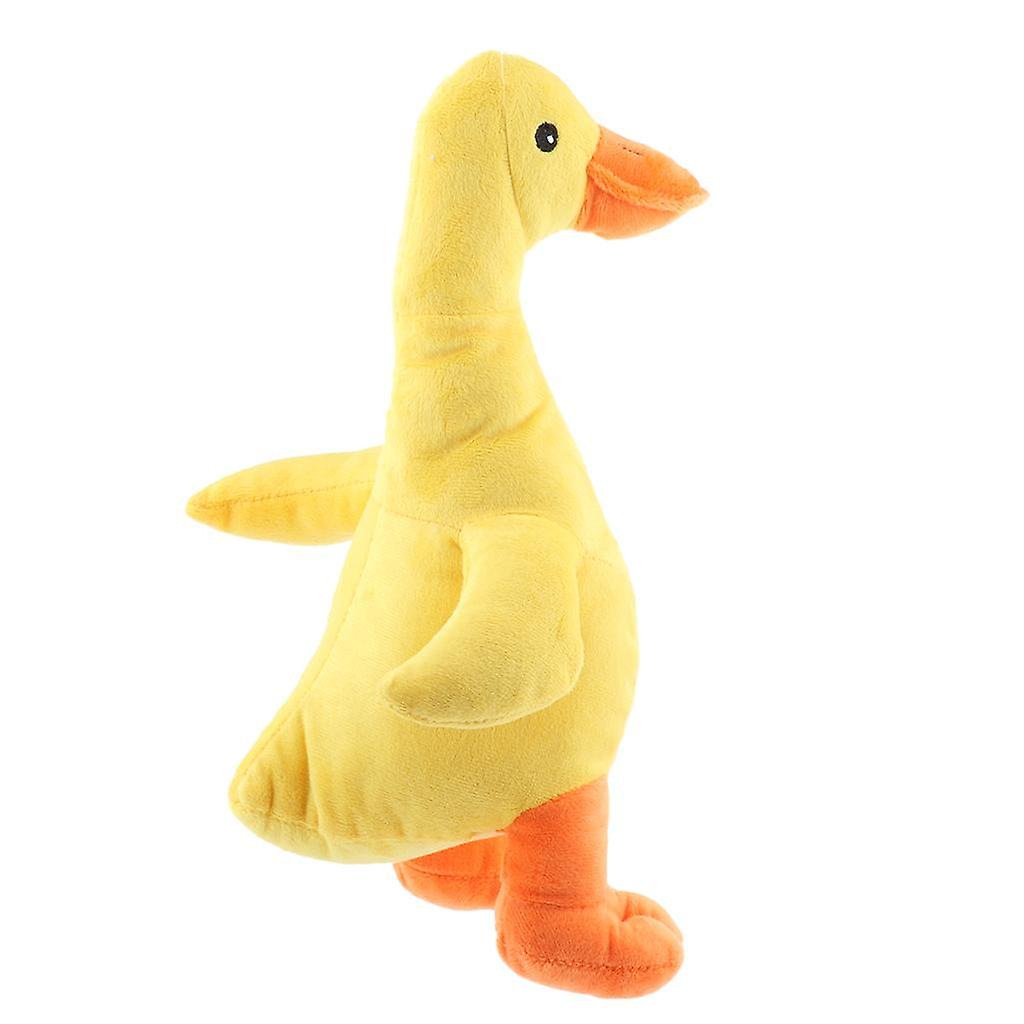 Dog Squeaky Chew Toy for Interactive Play Small, Medium, Large Breed Puppy