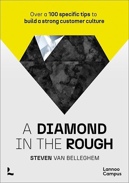 A Diamond In The Rough by Steven Van Belleghem Paperback