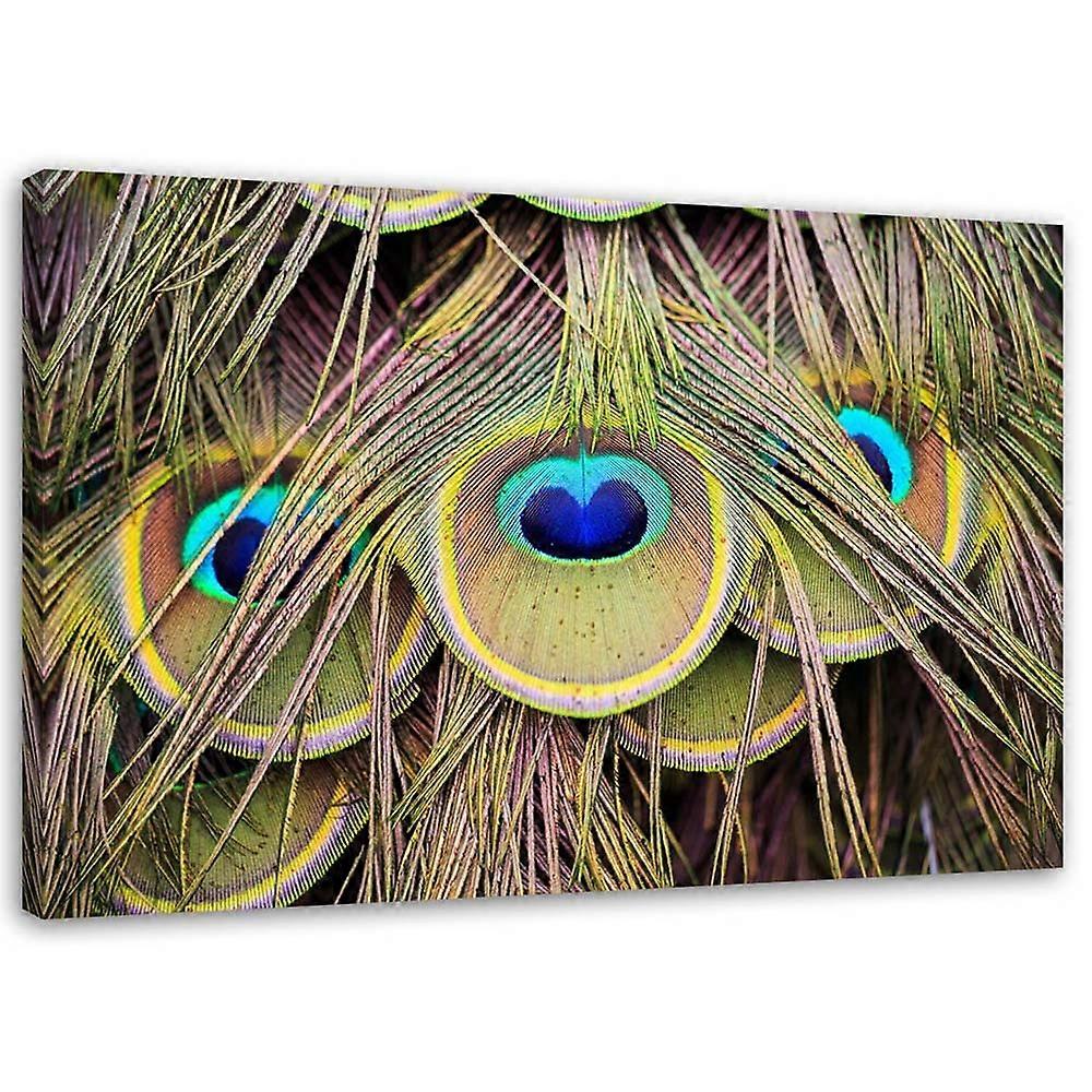 Lienzo, Pluma de pavo real - 60x40