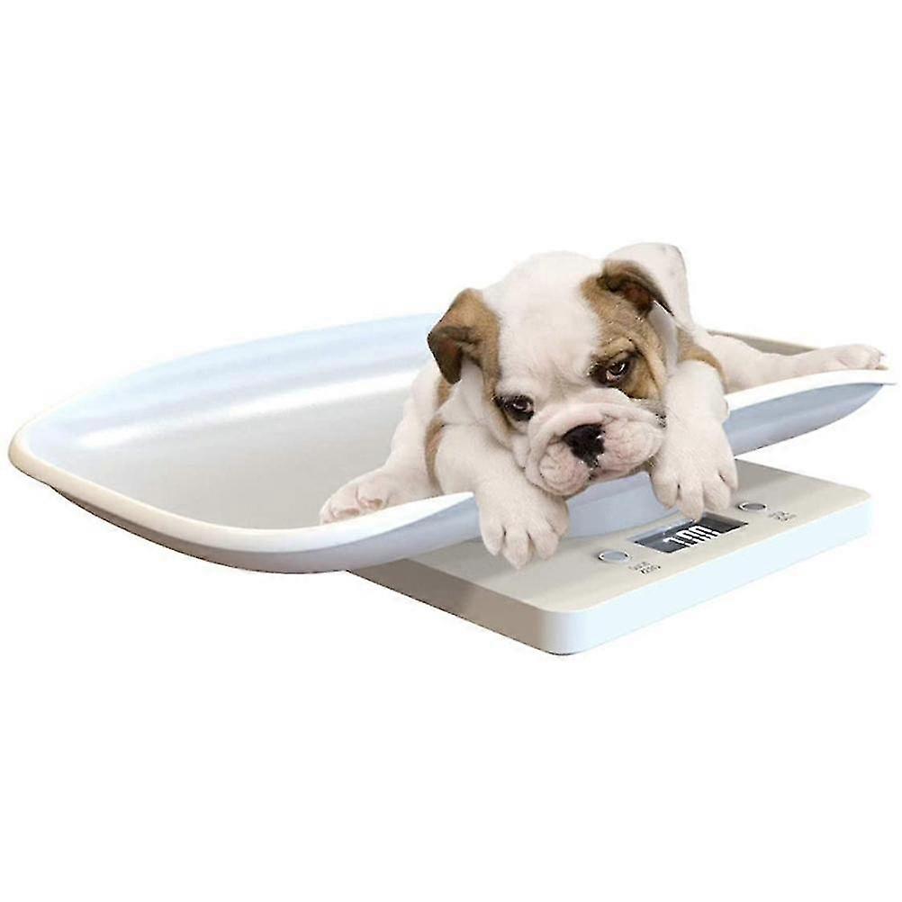Digital Pet Scale Kitchen Scale Multi Function LCD Electronic Scale 10kg Weight Scale Pet Supplies