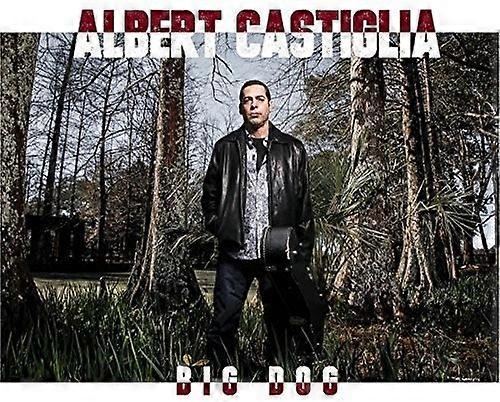 Albert Castiglia - Big Dog  [COMPACT DISCS] USA import