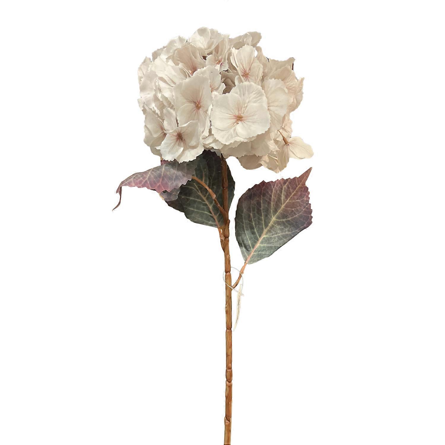 Hortensia Globe Valkoinen 70 cm