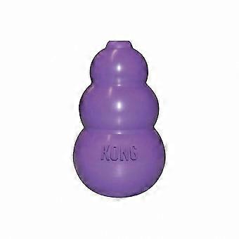KONG Katze Kätzchen KONG