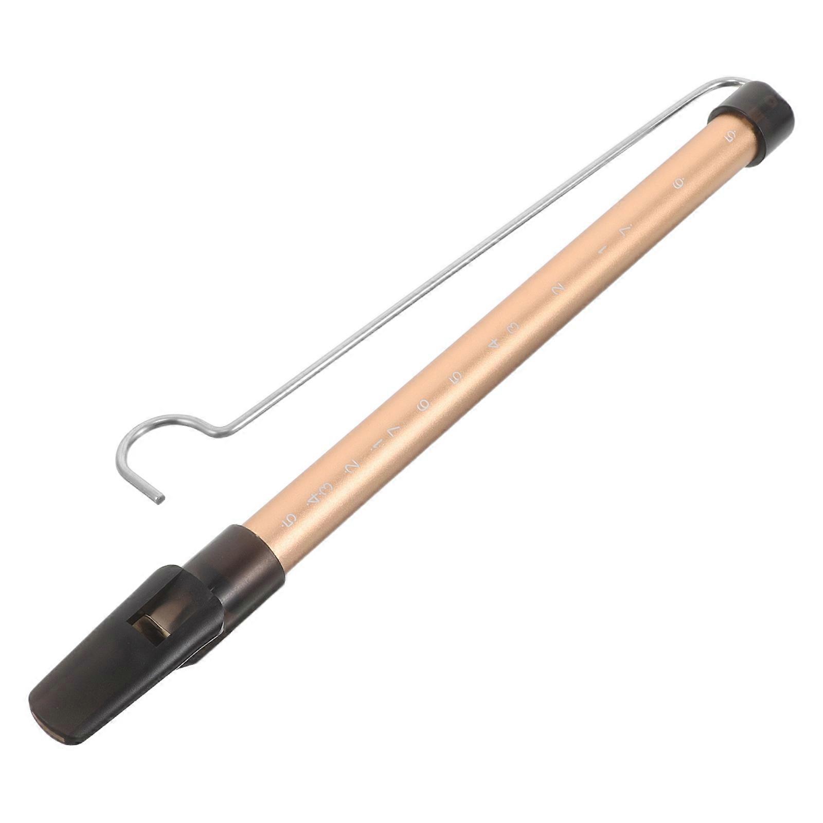 Slide Whistle Metal Flute for Musical Performance 5Pcs Set with Sliding Design