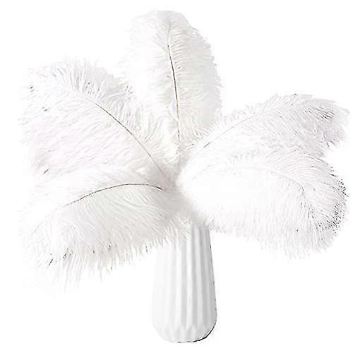 20pcs Bulk Feathers  White