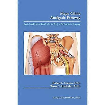 Mayo Clinic Analgetika Weg: Periphere Nervenblockade für große orthopädische Chirurgie