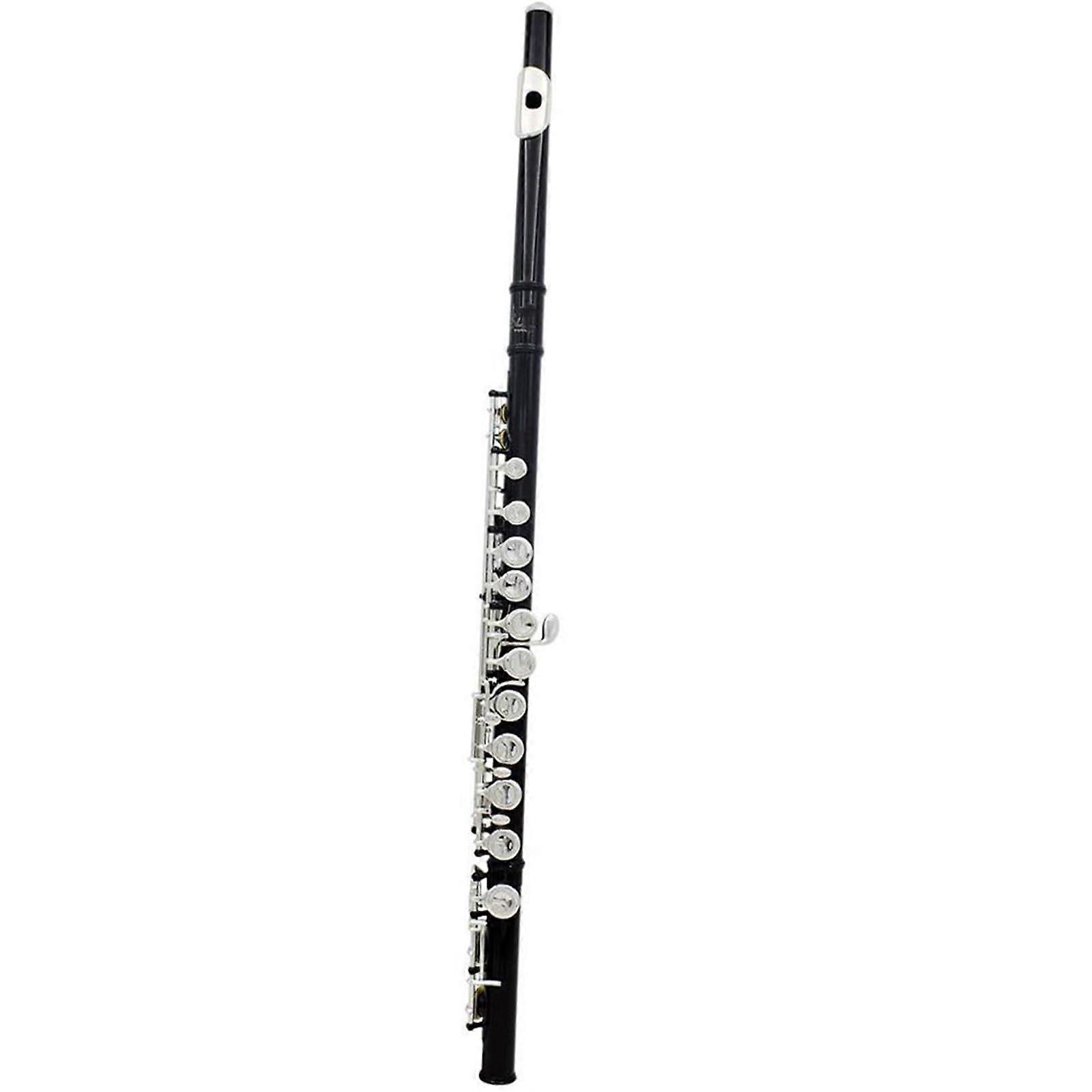 Professional 16 Hole C Tone Flute with E Key, Black Cupronickel Tube, BeginnerFriendly Kit