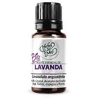 Eco lavender essential oil 10 ml of essential oil