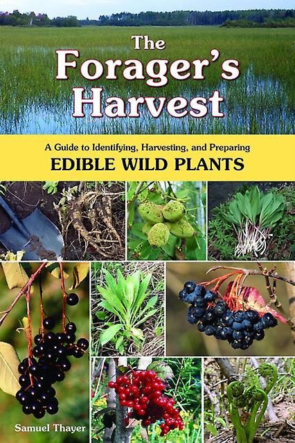 Forager's Harvest - Samuel Thayer - Reference works - Forager's Harvest - Paperback
