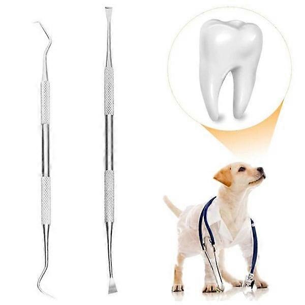 Dental Tools: Professional Dog Tooth Scaler & Scraper 2-Pack