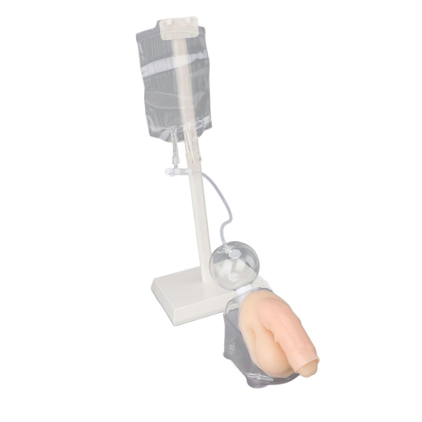 Male Urethral Catheterization Simulator Fluid Circulation System Urinary Catheterization Model for Medical Students Nurses