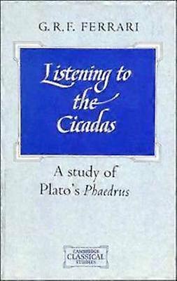 Listening to the Cicadas