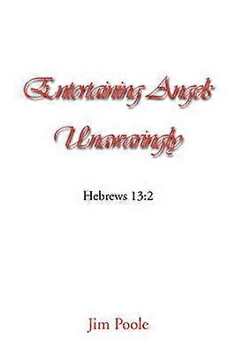 Entertaining Angels Unawaringly