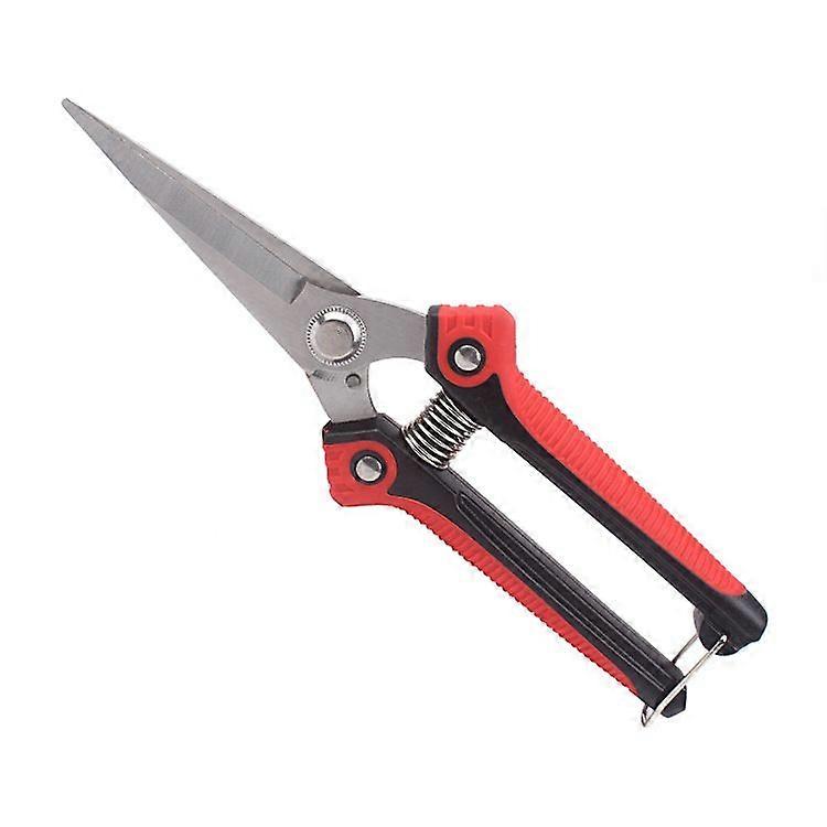 Stainless Steel Sharp Orchard Fruit Picking Scissors Fruit Picking Scissors Pruning Scissors Garden ScissorsRedWithout packaging