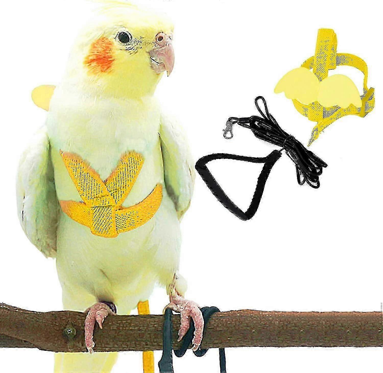Harnais réglable pour oiseaux avec laisse de 203 cm, kit de vol extérieur, corde d'entraînement pour oiseaux, perroquets, calopsittes
