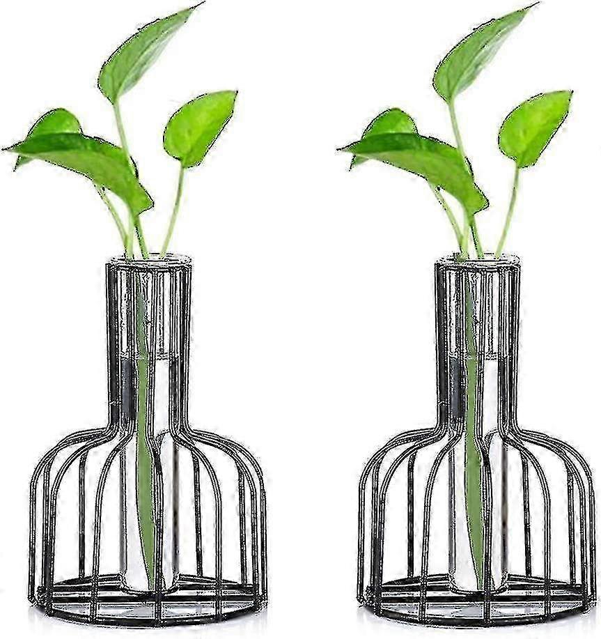 Metal Frame Glass Propagation Station with Black Vase - Stylish Schwarz Planter for Home Decor and Indoor Gardening