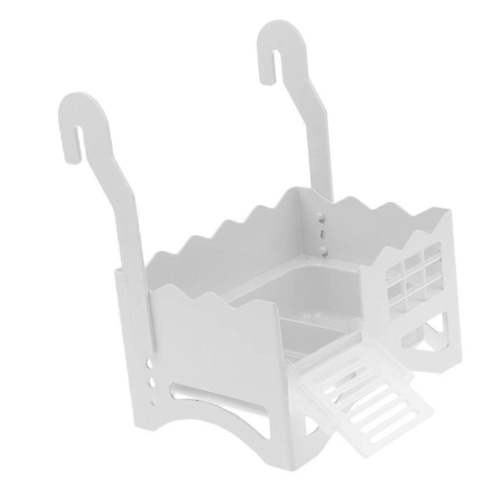 reptile turtle slaughter platform