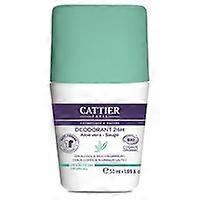 24h organic deodorant 50 ml