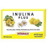 Inulin Plus 60 capsules