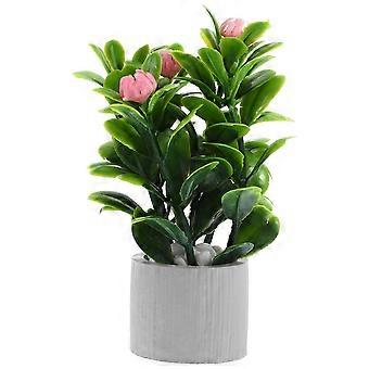 Micro Shrinking Clay Bonsai Plants for Doll House Miniature Decor