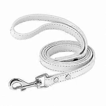 Weiche Leder-Hundeleine zum Spazierengehen und Trainieren, 1,20 m lang, ideal für kleine bis mittelgroße Hunde (DSW)