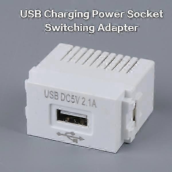 White 220V USB Power Adapter Module