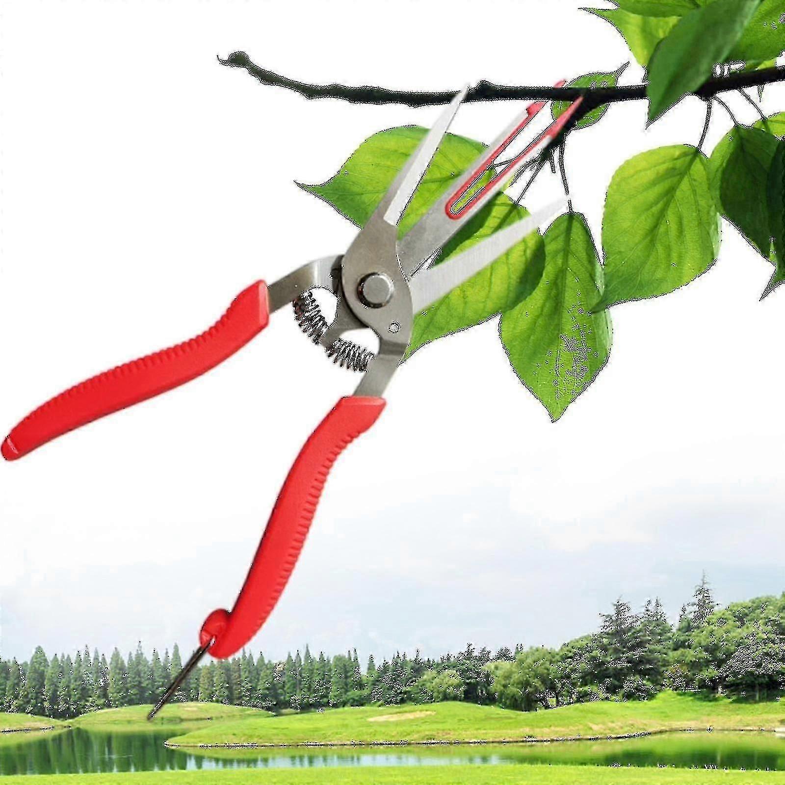 Double-edged Apple Picking Scissors Yangjiang Kiwi Pear Thinning Scissors