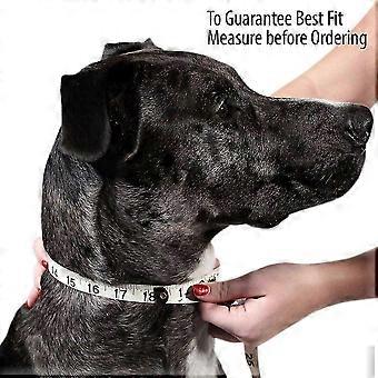 Adjustable Soft Dog Collar With Swivel Clip